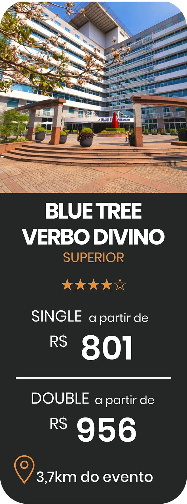 BLUE TREE VERBO DIVINO